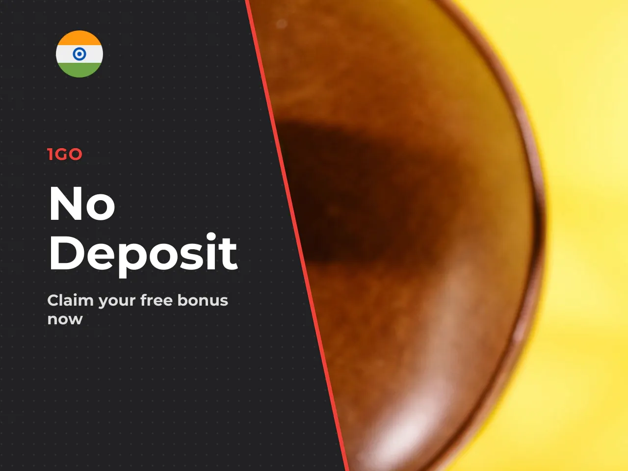 1Go Casino No Deposit Bonus How