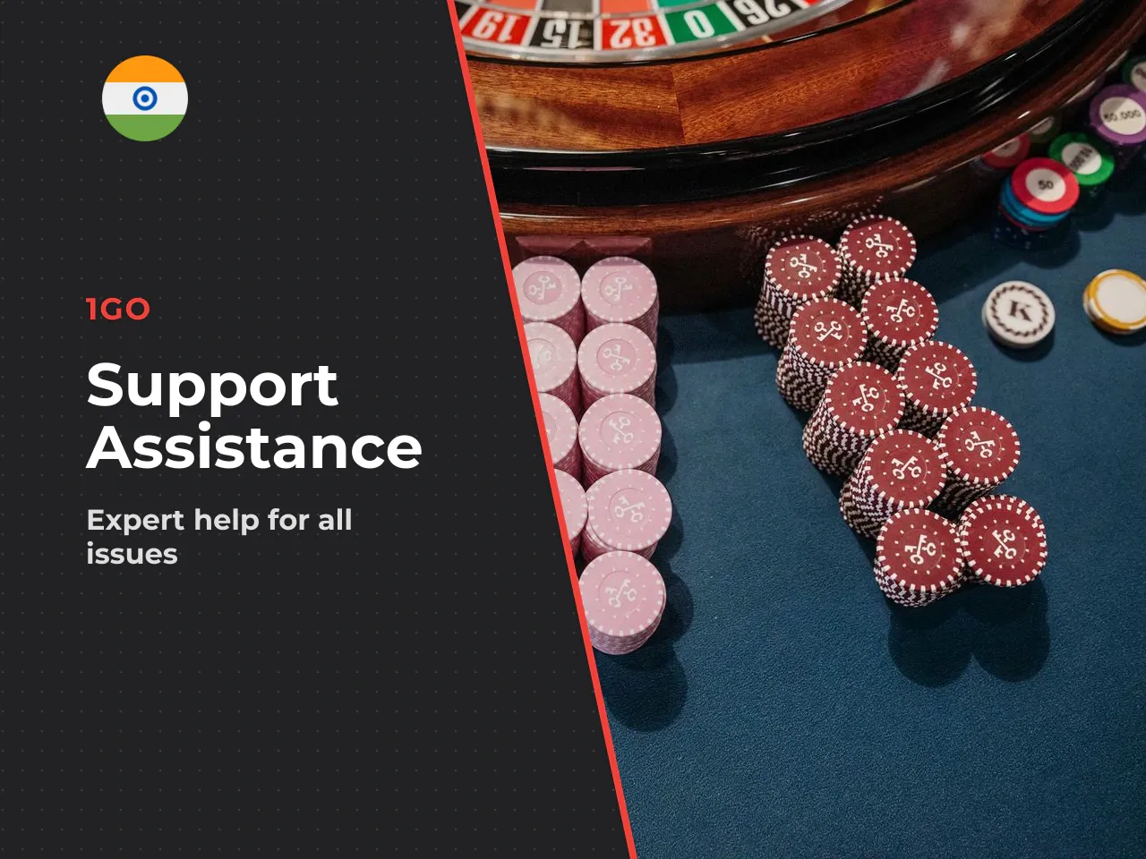 What Issues 1Go Support Can Help